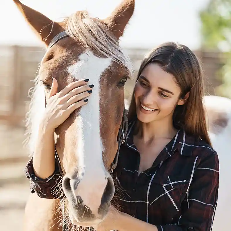 Pet Cube Young Lady with Horse